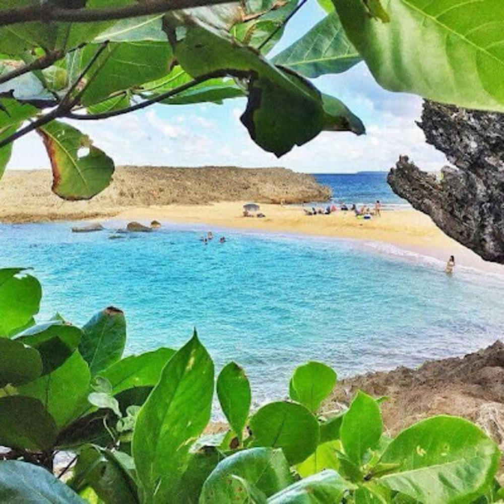 Meet your Posher, Adriana